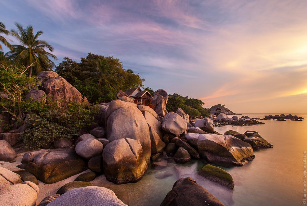 Koh Tao      ,        ... - 13