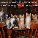 ���� ������, ������������ - ��������� 3 ������� 2014 � ������ ������ ��������