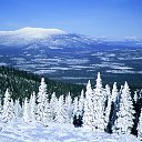 ���� �������, ���������, 61 ��� - ��������� 29 ����� 2014 � ������ ���� ����������