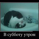 ���� �������, ��������-��-������, 48 ��� - ��������� 9 ������� 2014 � ������ ������ ��������