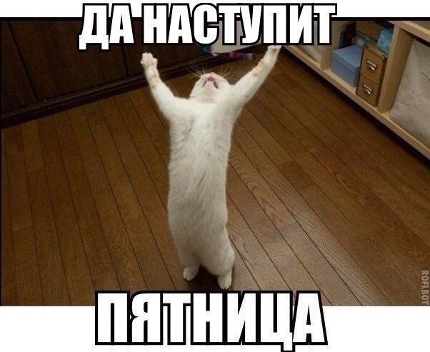 ����������� (18+) - 16 ��� 2014 � 12:59