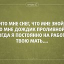 ���� ����, ���������, 40 ��� - ��������� 31 ���� 2014 � ������ ������ ��������