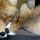 ���� �������, �����-��������� - ��������� 6 ���� 2014 � ������ ������ ��������