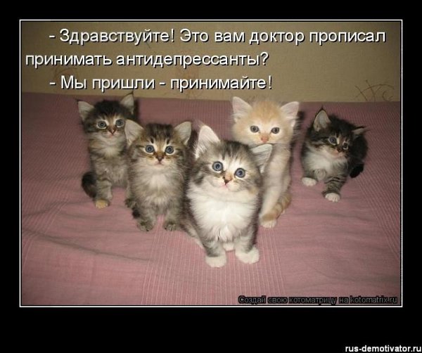 �������������� �� ���: fotostrana.ru/public/232203 ;-)
