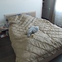 ���� �����, ������, 61 ��� - ��������� 24 ���� 2014 � ������ ������ ��������