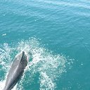 ���� ���������, ������ ���, 59 ��� - ��������� 11 ������� 2014 � ������ ����� 2014�