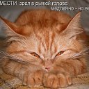 ���� Ta��, ������ - ��������� 20 ���� 2014 � ������ ������ ��������