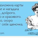 ���� �����, ������ - ��������� 1 ��� 2014 � ������ ������ ��������