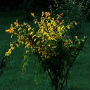 ������ ����, ���� 2014. ������ ����. �� ������� ������Ż