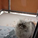 ���� �������, ��������� - ��������� 13 ��� 2014 � ������ �:)�