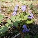 ���� ����, �������, 55 ��� - ��������� 21 ������ 2014 � ������ ������ 2014�