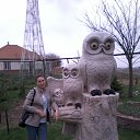  , , 74  -  23  2014    &quot; &quot;