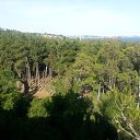 ���� Demir, ������� - ��������� 20 ���� 2014 � ������ ���� ����������