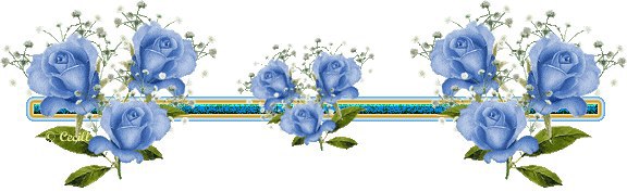 � ����, �� �� ��� ������ ����� �����?� �� ����, � ������ �� ������?� ������ �� ������ ����������!!!