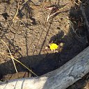 ���� �������, ������� - ��������� 12 ������ 2014 � ������ ���� ����������