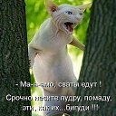 ���� �����, ������������ - ��������� 1 ��� 2014 � ������ ������ ��������