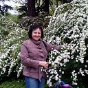 ���� ����, ���������, 71 ��� - ��������� 7 ��� 2014 � ������ ������ ��������