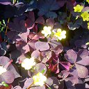 ���� ����, ��������, 54 ���� - ��������� 7 ������ 2014 � ������ �1�