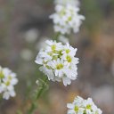 ���� Z, ������ - ��������� 28 ��� 2014 � ������ �������