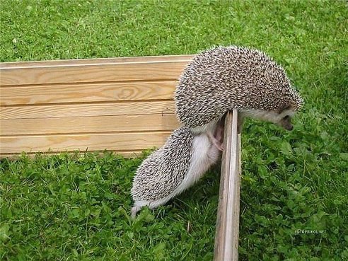 Жизнь - это не имущество, которое надо защищать, а дар, который нужно разделить с другими людьми.