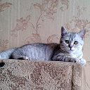 ���� ���� �� ������� ���� ����������