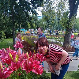 �����, �������, 42 ����