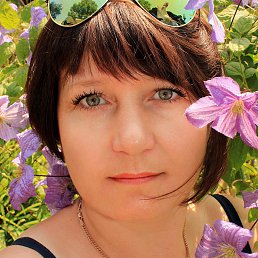 �������, ����������, 50 ���