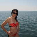 ���� �����, ������� - ��������� 14 ������� 2014 � ������ ���� ����������