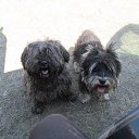 ���� ��������, �������, 58 ��� - ��������� 14 ��� 2014 � ������ ���� ����������