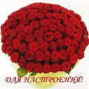 ���� �����, ��� - ��������� 28 ��� 2014 � ������ ������ ��������
