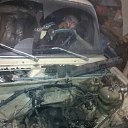 ���� ����, ��������, 33 ���� - ��������� 18 ���� 2014 � ������ ������ ��������