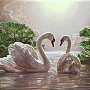 ���� Queen Of His Heart, ����, 47 ��� - ��������� 24 ���� 2014 � ������ ������ ��������
