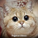 ���� ��������^^, �������, 29 ��� - ��������� 3 ���� 2014 � ������ ���� ����������