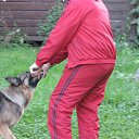  Andrus, , 63  -  21  2014    