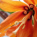 ������ ��������� �� ������� ����λ