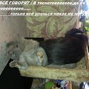 ���� �������� �� �������...., ���, 53 ���� - ��������� 20 ��� 2014 � ������ ������ ��������