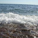 ������. ����������������� ���������.