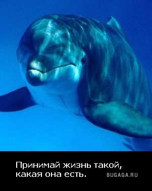 Запомни раз и навсегда: Что жизнь одна! Она твоя! Не надо слушать никого, Они не знают ничего. Твоих ...