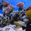  , , 46  -  24  2014      &quot; &quot;