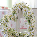 ���� �������, ������, 53 ���� - ��������� 6 ��� 2014 � ������ ������ ��������