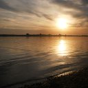 ���� ����, �����, 36 ��� - ��������� 16 ���� 2014 � ������ ���� ����������