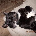 ���� �������, ������������, 58 ��� - ��������� 4 ���� 2014 � ������ ���� ����������