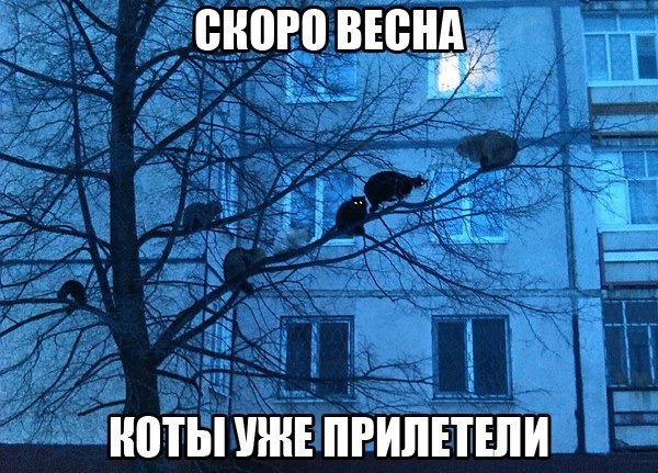  ( ) - 1  2014  00:53