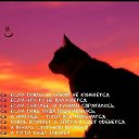 ���� �����, �������, 38 ��� - ��������� 11 ��� 2014 � ������ ������ ��������