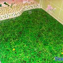 ���� �����, ������, 39 ��� - ��������� 20 ����� 2014 � ������ ���� ����������