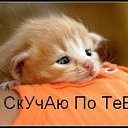 ���� ��������, ������ ��������, 44 ���� - ��������� 12 ������ 2014 � ������ ������ ��������