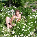 ���� ��������, ��������, 54 ���� - ��������� 4 ���� 2014