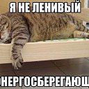 ���� ������, �������, 54 ���� - ��������� 30 ���� 2014 � ������ ���� ����������