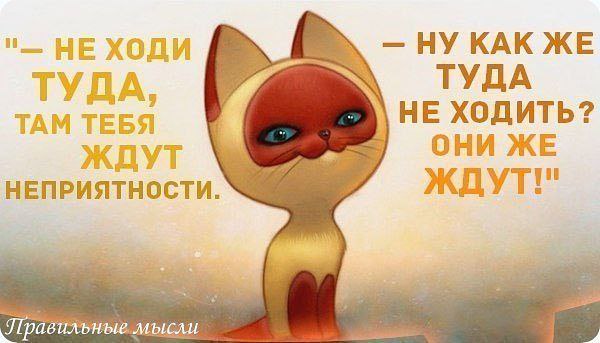 Препадобный Лав Джои - 4 апреля 2014 в 16:07