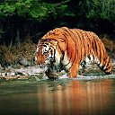 ���� ����, �����-��������� - ��������� 21 ���� 2014 � ������ ������ ��������